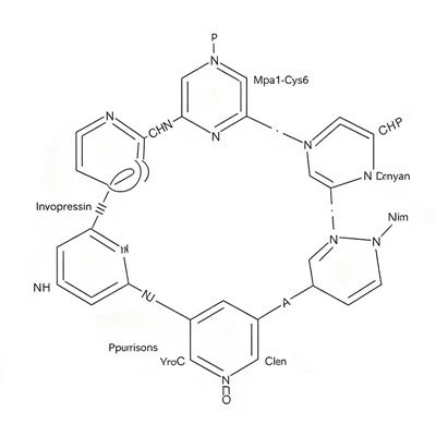 CAS 1488411-60-4 Invopressiin